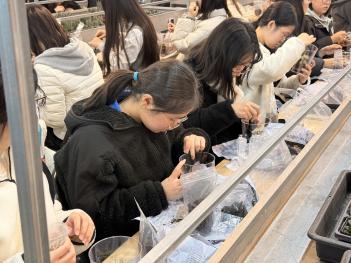 2025�г⵵ 3�г� �ʾ�Ʈ Ȧ�� �÷��׸��� ... ÷���̹���