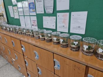 2025�г⵵ �÷��׸��� ���� ����Ȱ�� (����... ÷���̹���